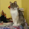Отзыв от Лидия Злобина